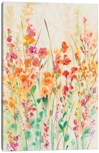 Brilliant Floral II Canvas Art Print - Tim O'Toole
