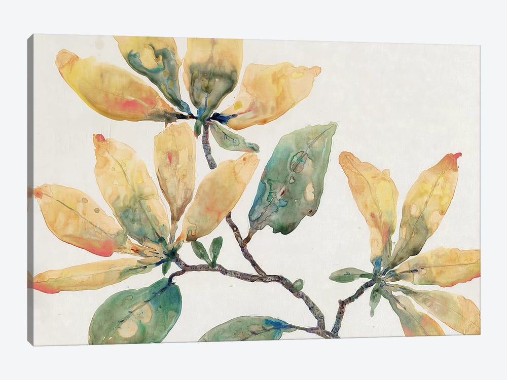 Flowering Branch II by Tim OToole 1-piece Canvas Artwork
