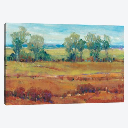 Red Clay I Canvas Print #TOT342} by Tim OToole Canvas Art
