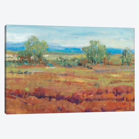 Red Clay II Canvas Print #TOT343} by Tim OToole Canvas Art