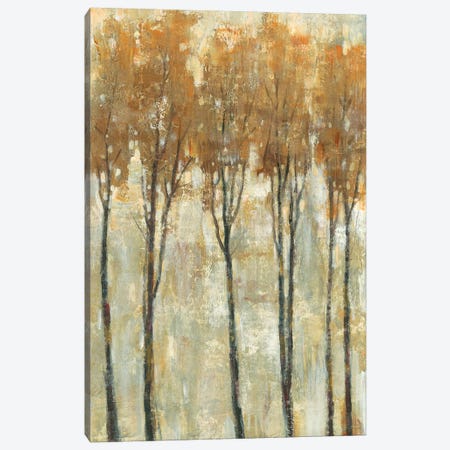 Standing Tall In Autumn I Canvas Print #TOT350} by Tim OToole Art Print