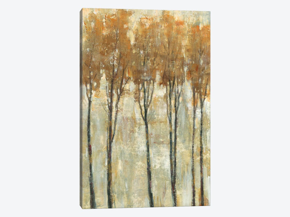 Standing Tall In Autumn I by Tim OToole 1-piece Canvas Art