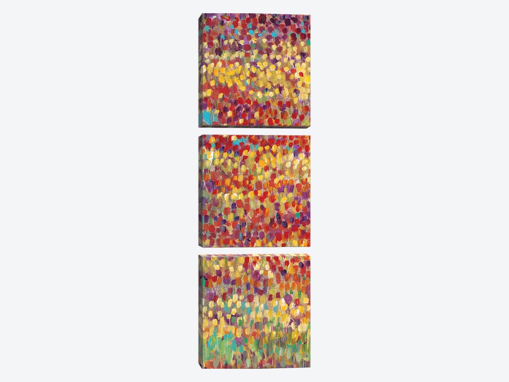 Tulips In Bloom I by Tim OToole 3-piece Canvas Wall Art