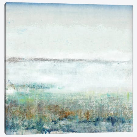 Turquoise Mist I Canvas Print #TOT358} by Tim OToole Canvas Art Print