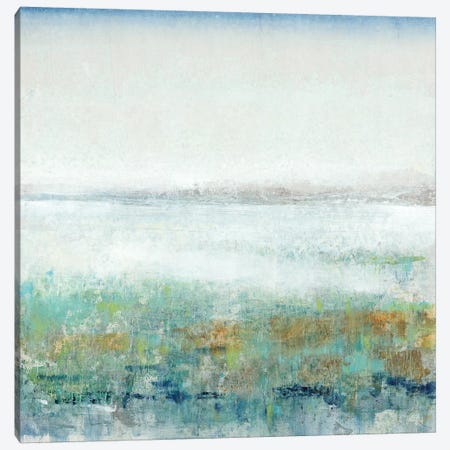 Turquoise Mist II Canvas Print #TOT359} by Tim OToole Canvas Art Print