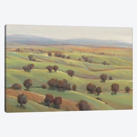 Beyond the Hills I Canvas Print #TOT362} by Tim OToole Canvas Wall Art