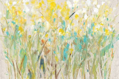 Floral Cluster I by Tim O'Toole framed canvas print