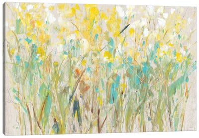 Floral Cluster I Canvas Art Print - Tim O'Toole
