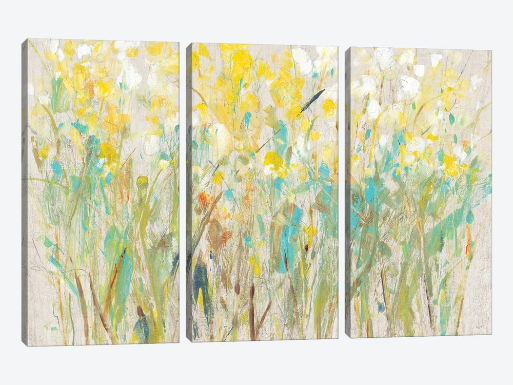 Floral Cluster I by Tim OToole 3-piece Canvas Art