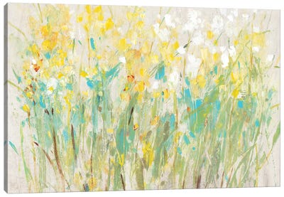 Floral Cluster II Canvas Art Print - Tim O'Toole