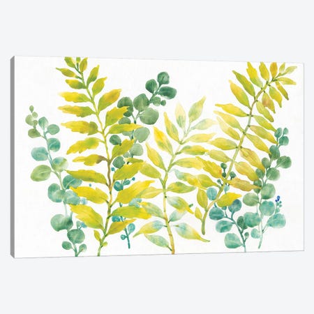 Mixed Greenery II Canvas Print #TOT383} by Tim OToole Canvas Artwork