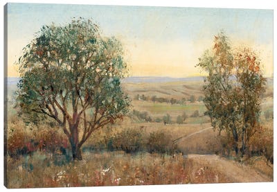 Overlook I Canvas Art Print - Countryside Art