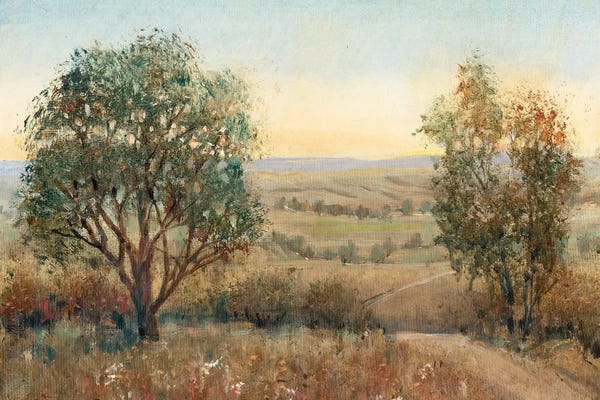 Countrysides: Overlook I by Tim O'Toole