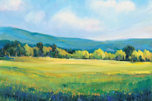 Countrysides: Partly Cloudy II by Tim O'Toole