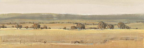 Countrysides: Season's End II by Tim O'Toole