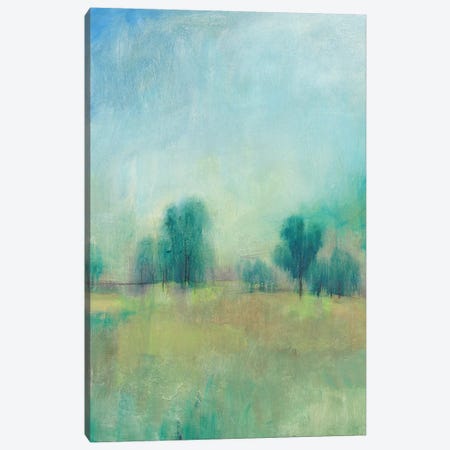 Serene Spring I Canvas Print #TOT398} by Tim OToole Canvas Print