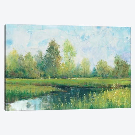 Tranquil Park I Canvas Print #TOT404} by Tim OToole Canvas Wall Art