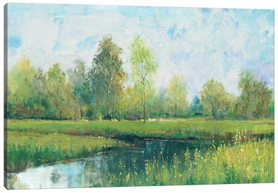 Tranquil Park I Canvas Art Print - Field, Grassland & Meadow Art