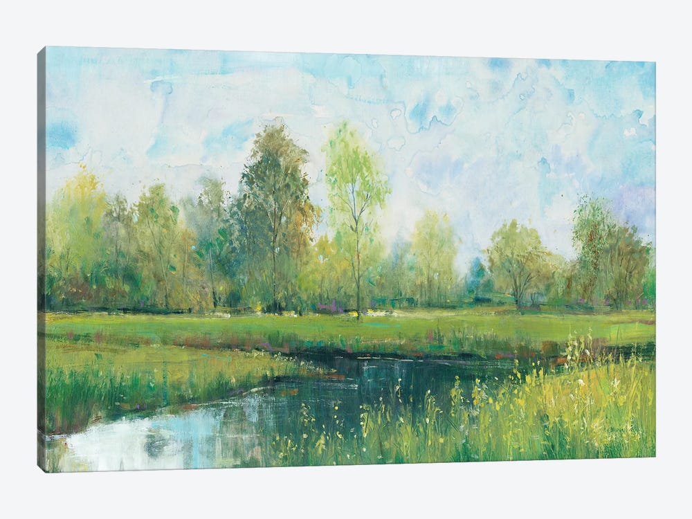Tranquil Park I by Tim OToole 1-piece Canvas Art