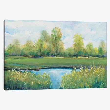 Tranquil Park II Canvas Print #TOT405} by Tim OToole Canvas Artwork