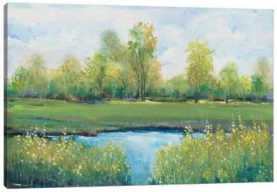 Tranquil Park II Canvas Art Print - Countryside Art
