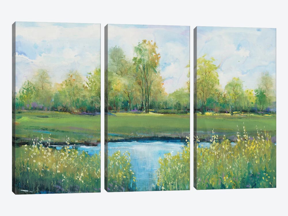 Tranquil Park II by Tim OToole 3-piece Canvas Print