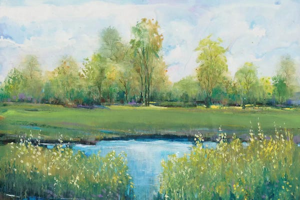 Ponds: Tranquil Park II by Tim O'Toole