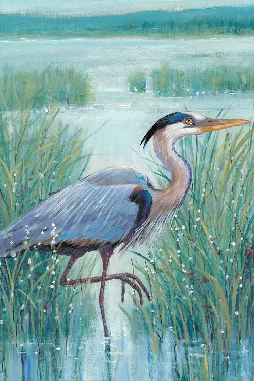 Wetland Heron I by Tim OToole wall art