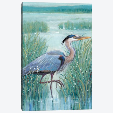 Wetland Heron I Canvas Print #TOT406} by Tim OToole Canvas Artwork
