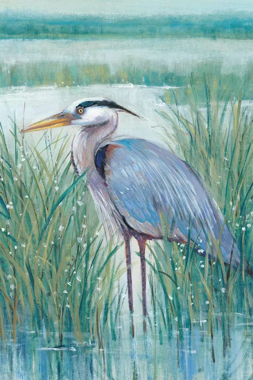 Wetland Heron II by Tim OToole wall art