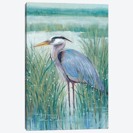 Wetland Heron II Canvas Print #TOT407} by Tim OToole Canvas Wall Art