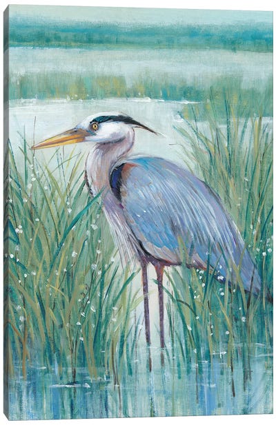 Wetland Heron II Canvas Art Print - Bird Art