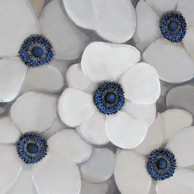 White Anemone I by Tim OToole wall art