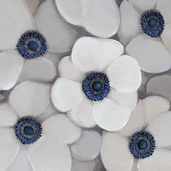Anemones: White Anemone I by Tim O'Toole