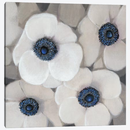 White Anemone II Canvas Print #TOT409} by Tim OToole Canvas Print