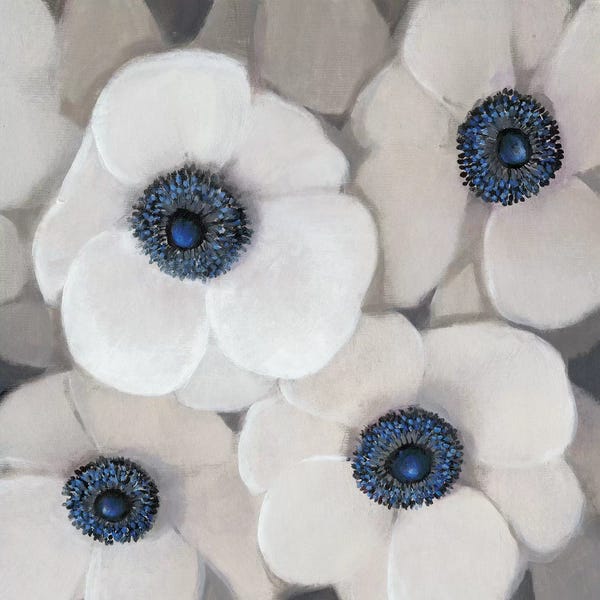 Anemones: White Anemone II by Tim O'Toole