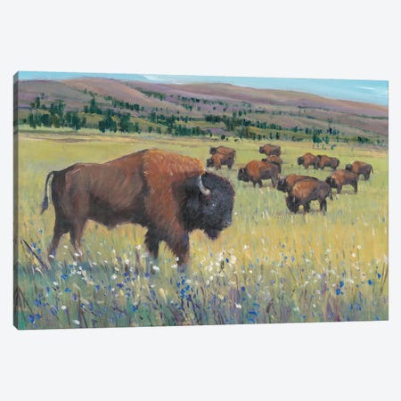 Animals of the West I Canvas Print #TOT412} by Tim OToole Canvas Artwork