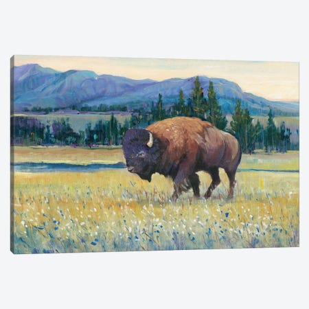 Animals of the West II Canvas Print #TOT413} by Tim OToole Canvas Art
