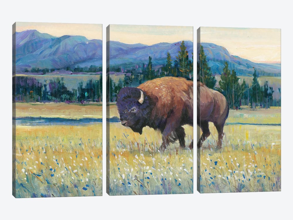 Animals of the West II by Tim OToole 3-piece Canvas Wall Art
