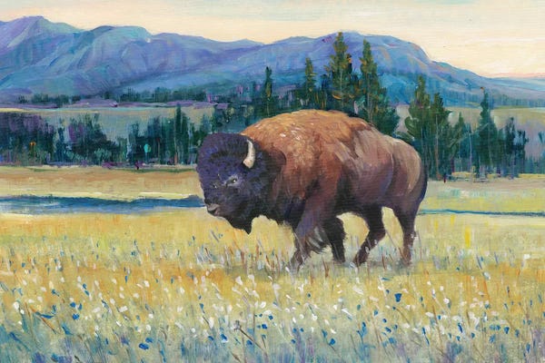 Western Décor: Animals of the West II by Tim O'Toole