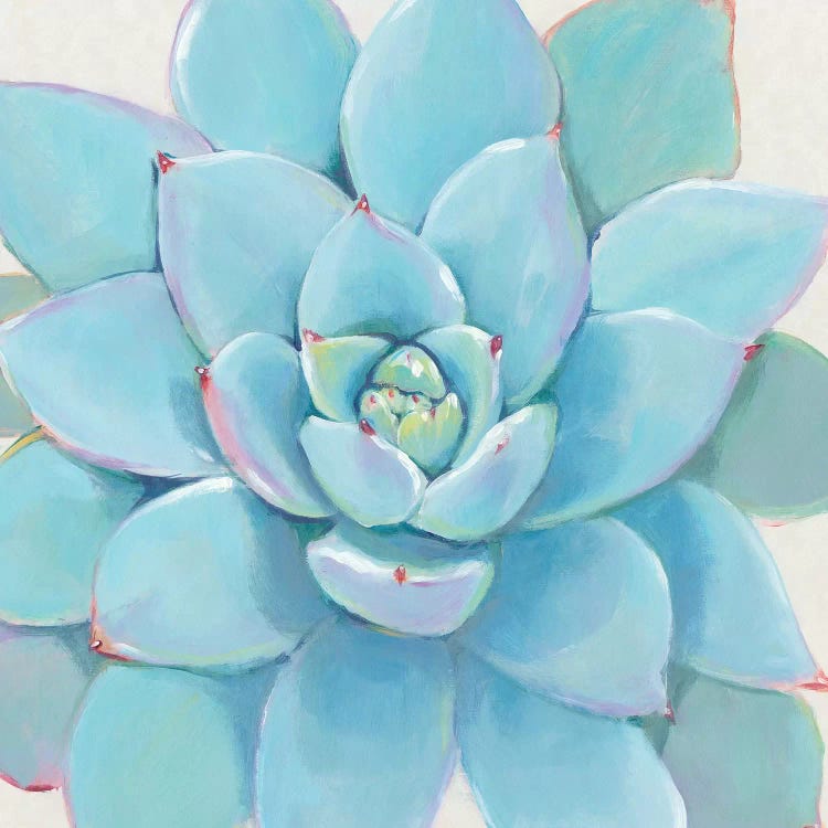 Pastel Succulent I