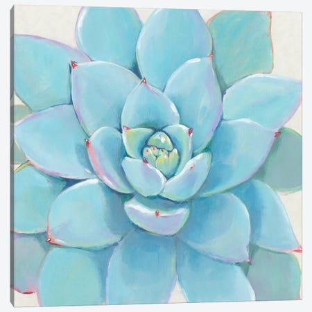 Pastel Succulent I Canvas Print #TOT432} by Tim OToole Canvas Art
