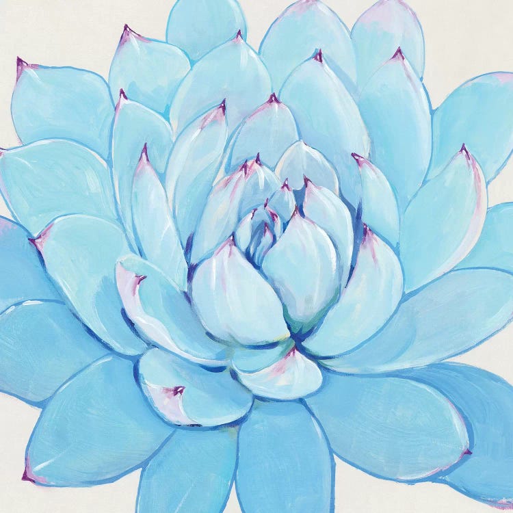 Pastel Succulent II