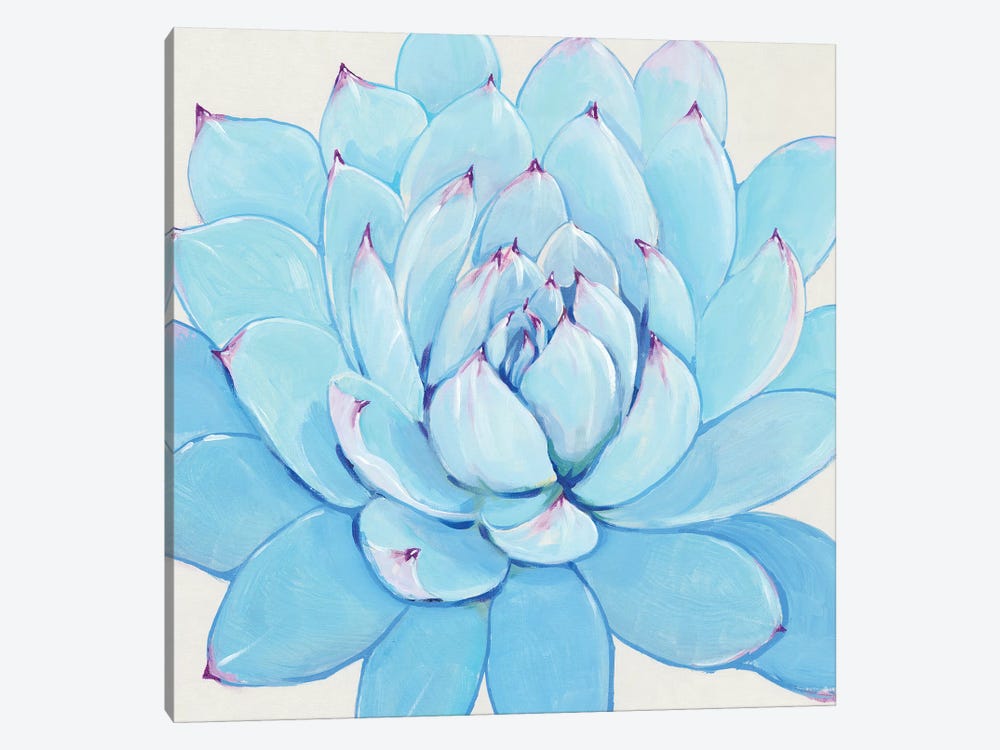 Pastel Succulent II by Tim OToole 1-piece Canvas Wall Art