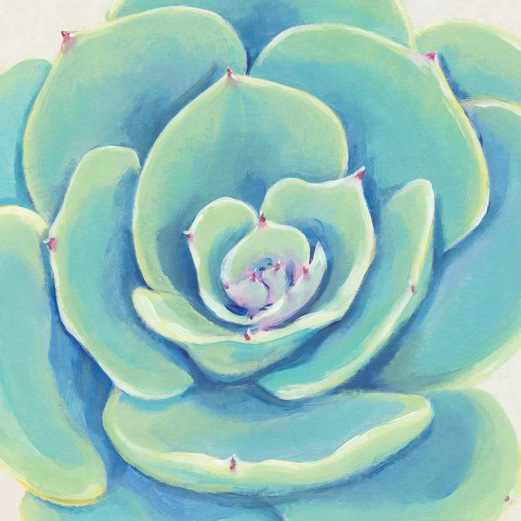 Pastel Succulent IV