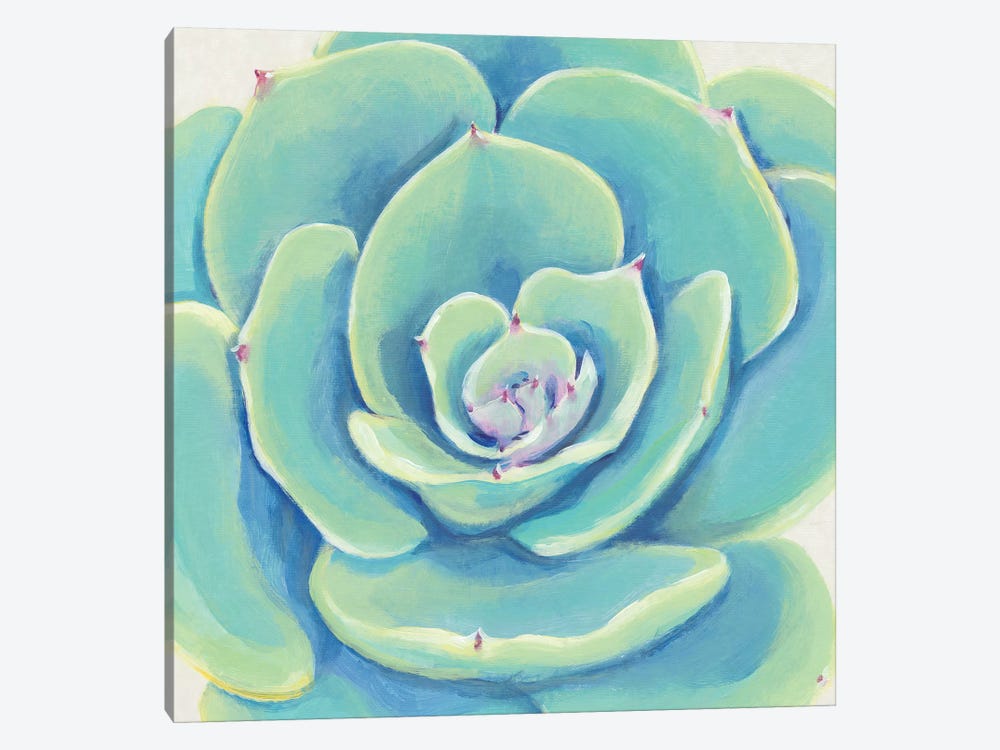 Pastel Succulent IV by Tim OToole 1-piece Canvas Art