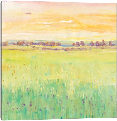 Spring Pasture II Canvas Art Print - Tim O'Toole