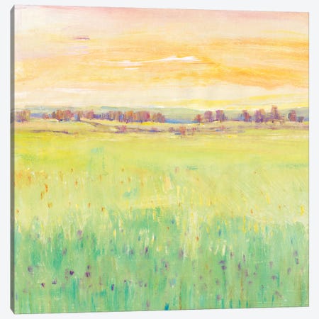 Spring Pasture II Canvas Print #TOT441} by Tim OToole Art Print