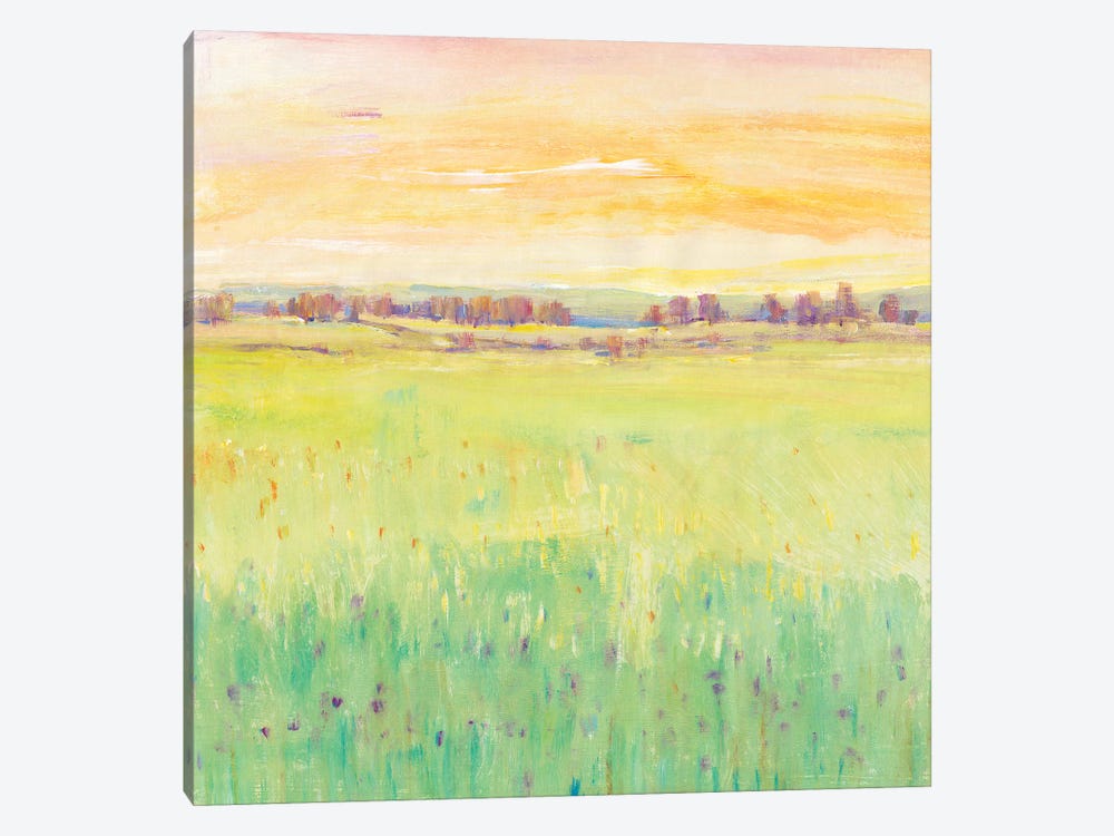 Spring Pasture II by Tim OToole 1-piece Canvas Print