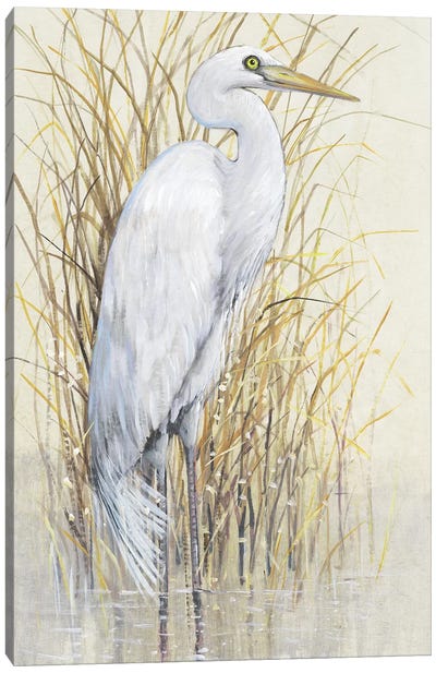 Wading I Canvas Art Print - Egret Art